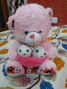 Teddy