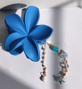 Pintresty Hair Claw