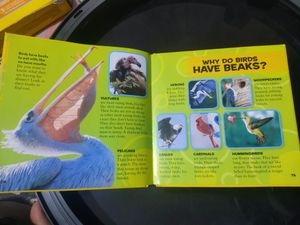 Little Kids First Big Books Of &#34;Why&#34; (For kids)