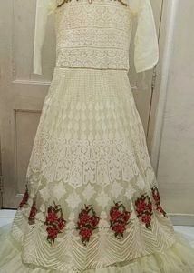 Premium net dress with front and back work.