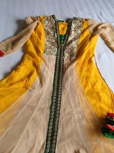 Ethnic Gowns