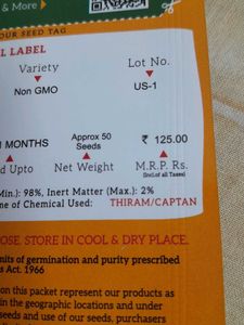 WINTER FLOWERING PLANTS-PANSY MIX SEEDS