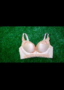 imported Bra