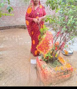 Elegant Ethnic Saree