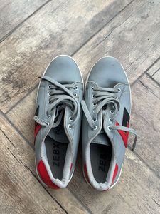 Men Sneakers