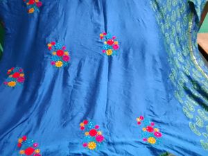 Blue Sari with Paisley Blouse