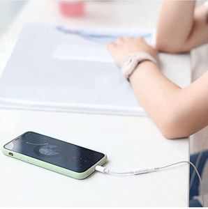 COMBO— Wired Earbuds + LightiningToAux Cable