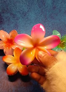 Colorful Plumeria Hair Clips