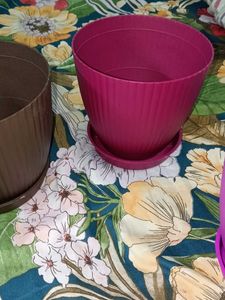 5 Coloring Flower Pots