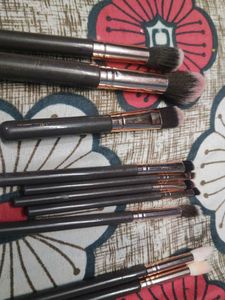 Lilara Brush Set used for 1 to 2 tym