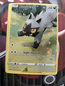 Poochyena Pokemon Card