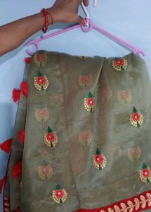 Organza Saree