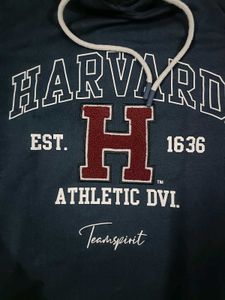 Y2k Blue Harvard Harry potter hoodie