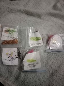 5 Vegatble Seeds