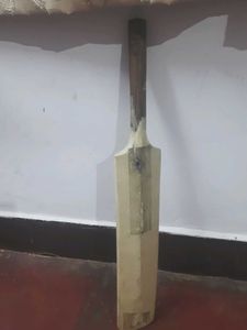 cricket bat