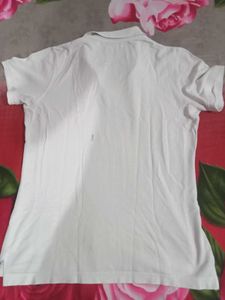 Polo T-shirt For Men