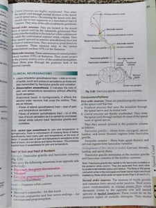 Human Anatomy Vol. 4 with workbook
