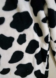 Dalmitian Print Cozy Night Suit Imported