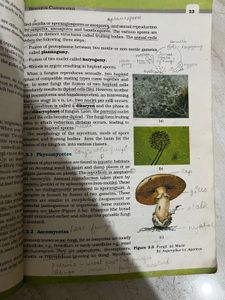 Important Marked NCERT Biology