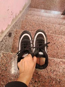 branded Black &amp; Grey Sneakers