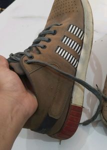 Light Brown Colour Adidas Shoes