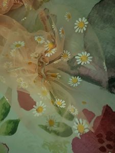 𐙚 Daisy Printed Off Shoulder Crop Top 𐙚