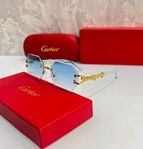Cartier Sunglasses Honey Singh Edition