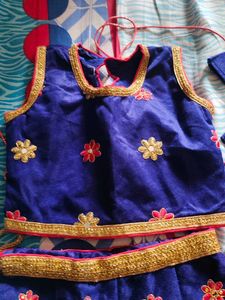 Blue Embroidered Lehenga Choli