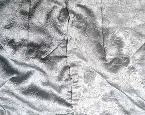 Vintage Style Crinkled Shree With Blouse