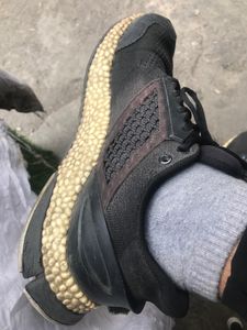 Puma bounce