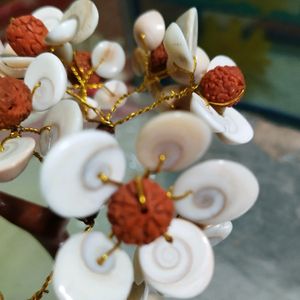 Laxmi Vastu Chakra Rudraksh Tree Money &amp; H