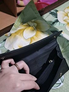 Baggie Branded New Clutch Wallet