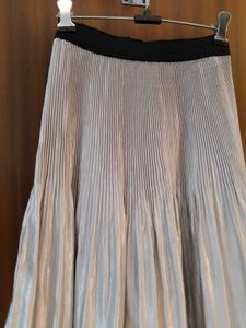 Silver Skirt