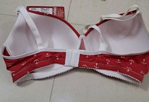 Lightly Padded Soft Envie Brand Bra