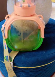 Cute Turtle Water Bottle