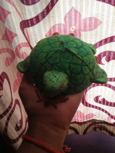 Clay Turtle