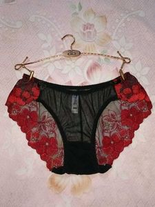 Lace Net Embroidered Panty