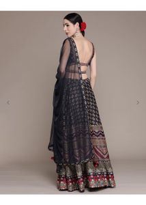 Aarke Ritu Kumar Lehenga choli