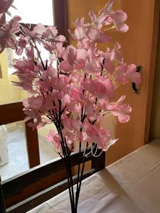 Beautiful Flowers