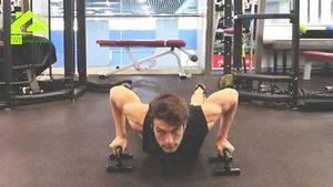 Push Up Bars