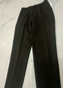 Brown Formal Pants For Women