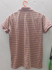 Women Polo  Multi Colour Shirt