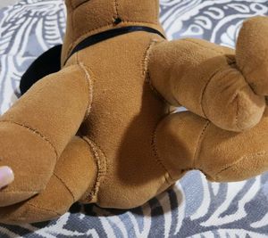 Plushy Dog Toy
