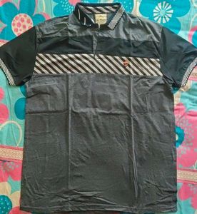 Stylish Striped Polo Shirt