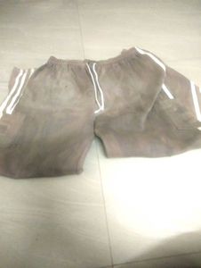 Casual Brown Shorts