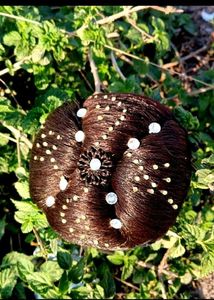 Brown Hair Bun Accessory
