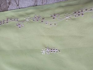 Beautiful Saree