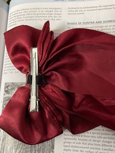 Ponytail Silk Bow