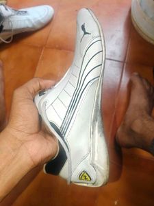 puma ferrari sf future cat shoes