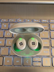 Portronics Earphones